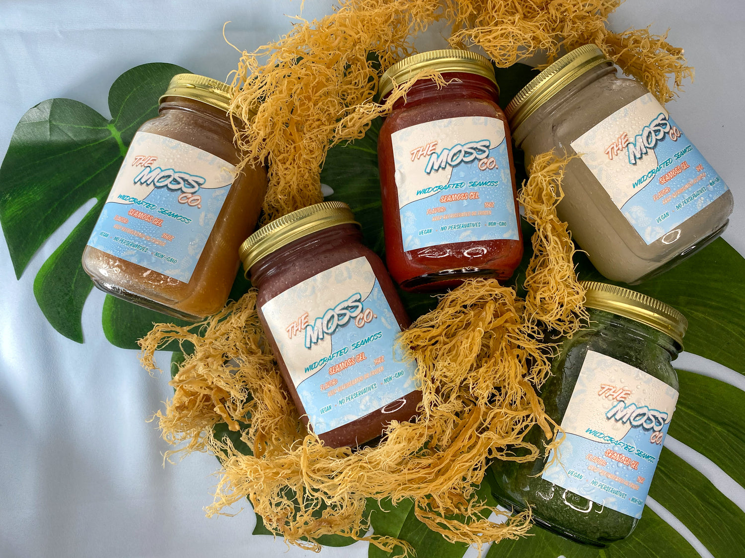 The Moss Co. sea moss gel, tamarindo flavor, elderberry infused, hibiscus jamaica infused, OG, spirulina infused